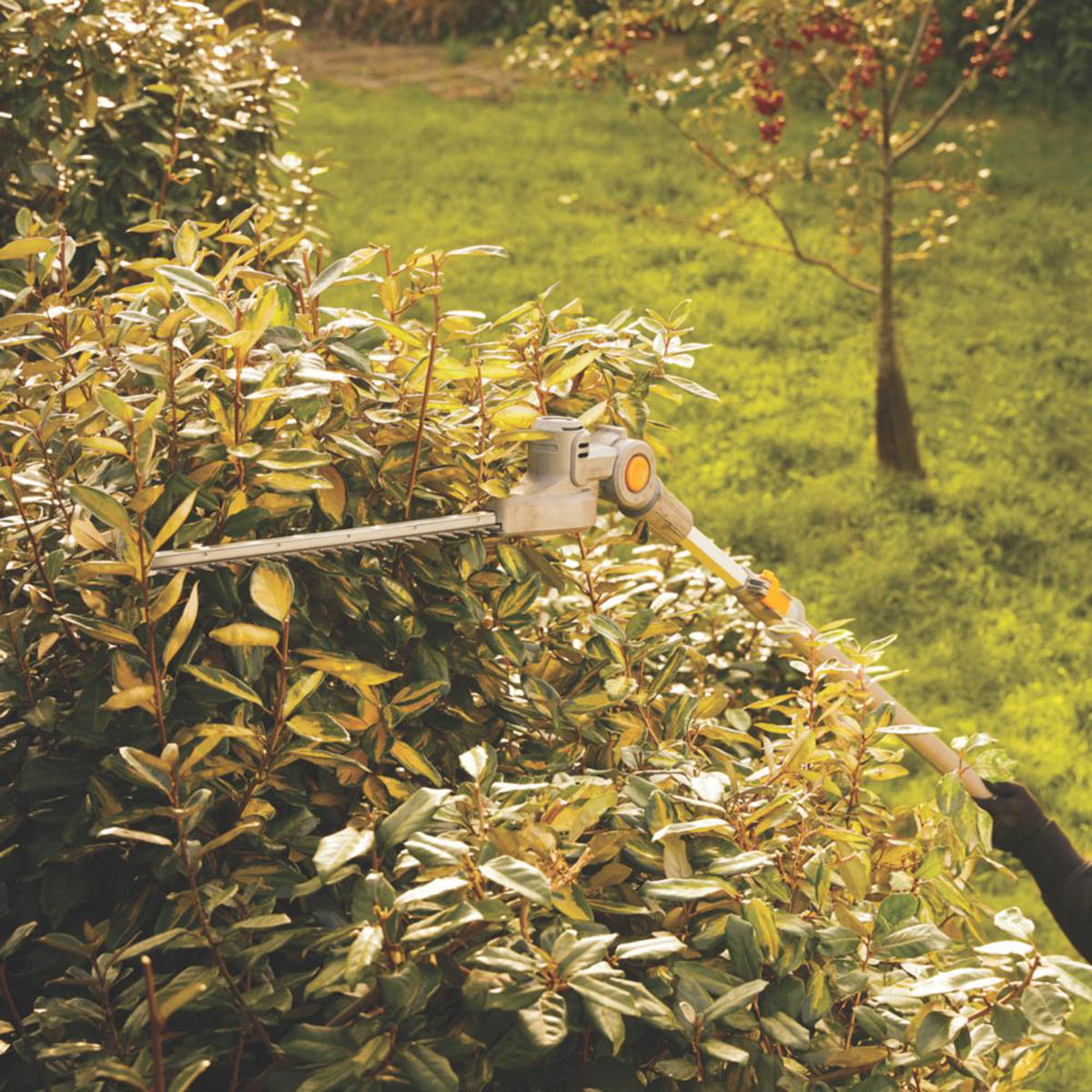 Titan Pole Hedge Trimmer Cordless 18V Li-Ion TXP Lightweight - Body Only - Image 4