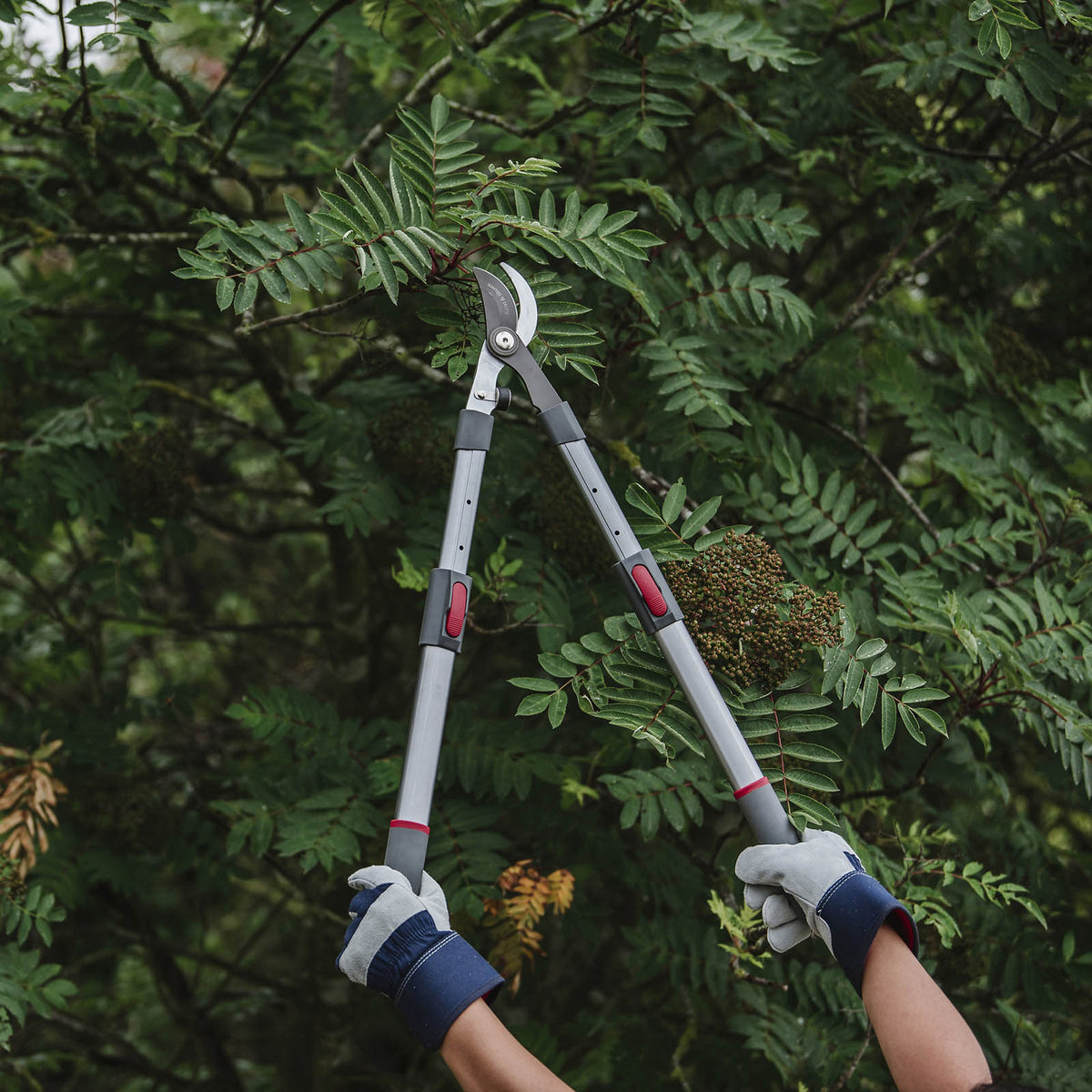 Kent & Stowe Garden Bypass Telescopic Loppers - Image 2