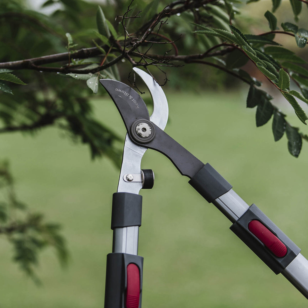 Kent & Stowe Garden Bypass Telescopic Loppers - Image 3