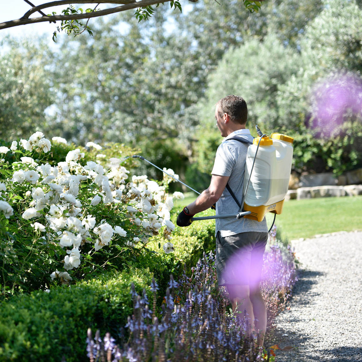 Garden Backpack Pressure Sprayer Weed Killer Knapsack Multi-Je Multipurpose 16L - Image 4